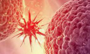 /blog/dlaczego-immunoterapia-antygd2-jest-tak-skuteczna-w-walce-z-nowotworami/